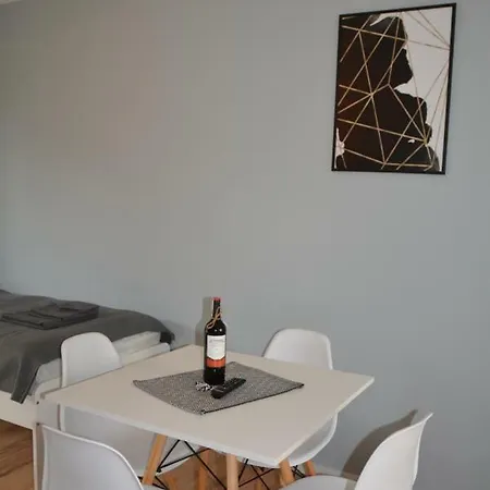 Apartament Fibra Flat White Rybnik  Exteriér fotografie